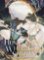 The Husky White Cat Shizun 1 The Husky White Cat Shizun 1