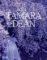 Tamara Dean: A Monograph