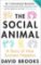 The Social Animal : A Story of How Success Happens The Social Animal : A Story of How Success Happens