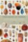 The Book of Seeds: A lifesize guide to six hundred species from around the world The Book of Seeds: A lifesize guide to six hundred species from around the world