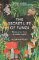 The Secret Life of Fungi The Secret Life of Fungi