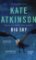 Big Sky - Jackson Brodie Big Sky - Jackson Brodie