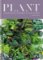 Plant. House plants: choosing, styling, caring