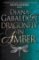Dragonfly in Amber Dragonfly in Amber
