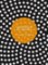 The Origin of Species : (Patterns of Life) The Origin of Species : (Patterns of Life)