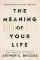 Meaning of Your Life