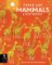 There are Mammals Everywhere There are Mammals Everywhere