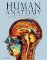 Human Anatomy Human Anatomy