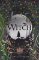 Witch Witch