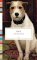 Dog Stories Dog Stories