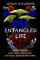 Entangled Life : How Fungi Make Our Worlds, Change Our Minds and Shape Our Futures Entangled Life : How Fungi Make Our Worlds, Change Our Minds and Shape Our Futures