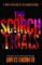 Maze Runner 2 - The Scorch Trials Maze Runner 2 - The Scorch Trials