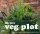 My Tiny Veg Plot My Tiny Veg Plot