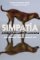 Simpatia Simpatia