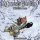 Mouse Guard Volume 2: Winter 1152