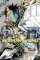 Platinum End, Vol. 11 Platinum End, Vol. 11