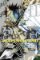 Platinum End, Vol. 11 Platinum End, Vol. 11