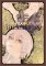 Tokyo Ghoul:re Illustrations: zakki Tokyo Ghoul:re Illustrations: zakki