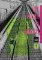 My Name Is Shingo: The Perfect Edition, Vol. 1 My Name Is Shingo: The Perfect Edition, Vol. 1