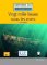 Vingt mille lieues sous les mers - Niveau 1/A1 - Lecture CLE en français facile - Livre + Audio téléchargeable