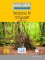 Jacquou le croquant - Niveau 1/A1 - Lecture CLE en français facile - Livre + CD Jacquou le croquant - Niveau 1/A1 - Lecture CLE en français facile - Livre + CD
