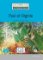 Paul et Virginie - Niveau 2/A2 - Lecture CLE en français facile - Livre + CD Paul et Virginie - Niveau 2/A2 - Lecture CLE en français facile - Livre + CD