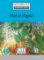 Paul et Virginie - Niveau 2/A2 - Lecture CLE en français facile - Livre + Audio téléchargeable Paul et Virginie - Niveau 2/A2 - Lecture CLE en français facile - Livre + Audio téléchargeable