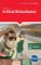 A Viral Disturbance A Viral Disturbance