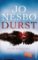 Durst: Ein Fall für Harry Hole Durst: Ein Fall für Harry Hole