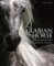 Arabian Horse Arabian Horse