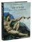 Art of Rome Art of Rome