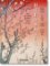 Hiroshige: One Hundred Famous Views of Edo 45th Ed.