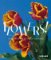 Flowers! (Bilingual edition)