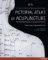 Pictorial Atlas of Acupuncture Pictorial Atlas of Acupuncture
