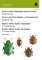 Brouci čeledi plavčíkovití (Haliplidae) a vyklenulcovití (Byrrhidae) Brouci čeledi plavčíkovití (Haliplidae) a vyklenulcovití (Byrrhidae)