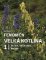 Fenomén Velká kotlina 1