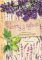 Recepty z bylinek