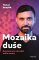 Mozaika duše Mozaika duše