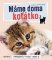 Máme doma koťátko Máme doma koťátko