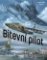 Bitevní pilot Bitevní pilot