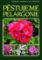 Pěstujeme pelargonie Pěstujeme pelargonie