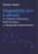Magnetické jevy a obvody ve výkonové ele