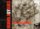 Monology / Monologues 1971-2006 Monology / Monologues 1971-2006