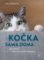Kočka sama doma