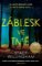 Záblesk ve tmě Záblesk ve tmě