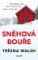 Sněhová bouře Sněhová bouře