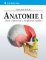Anatomie 1 Anatomie 1