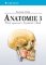 Anatomie 3 Anatomie 3