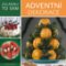 Zvládnu to sám: Adventní dekorace Zvládnu to sám: Adventní dekorace