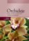 Orchideje - Druhy vhodné pro pěstování v běžných podmínkách Orchideje - Druhy vhodné pro pěstování v běžných podmínkách